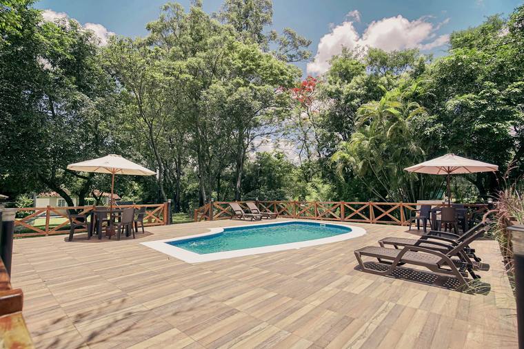 Piscina con deck de madera, reposeras y sombrillas rodeada de árboles en Granja Santa Rita